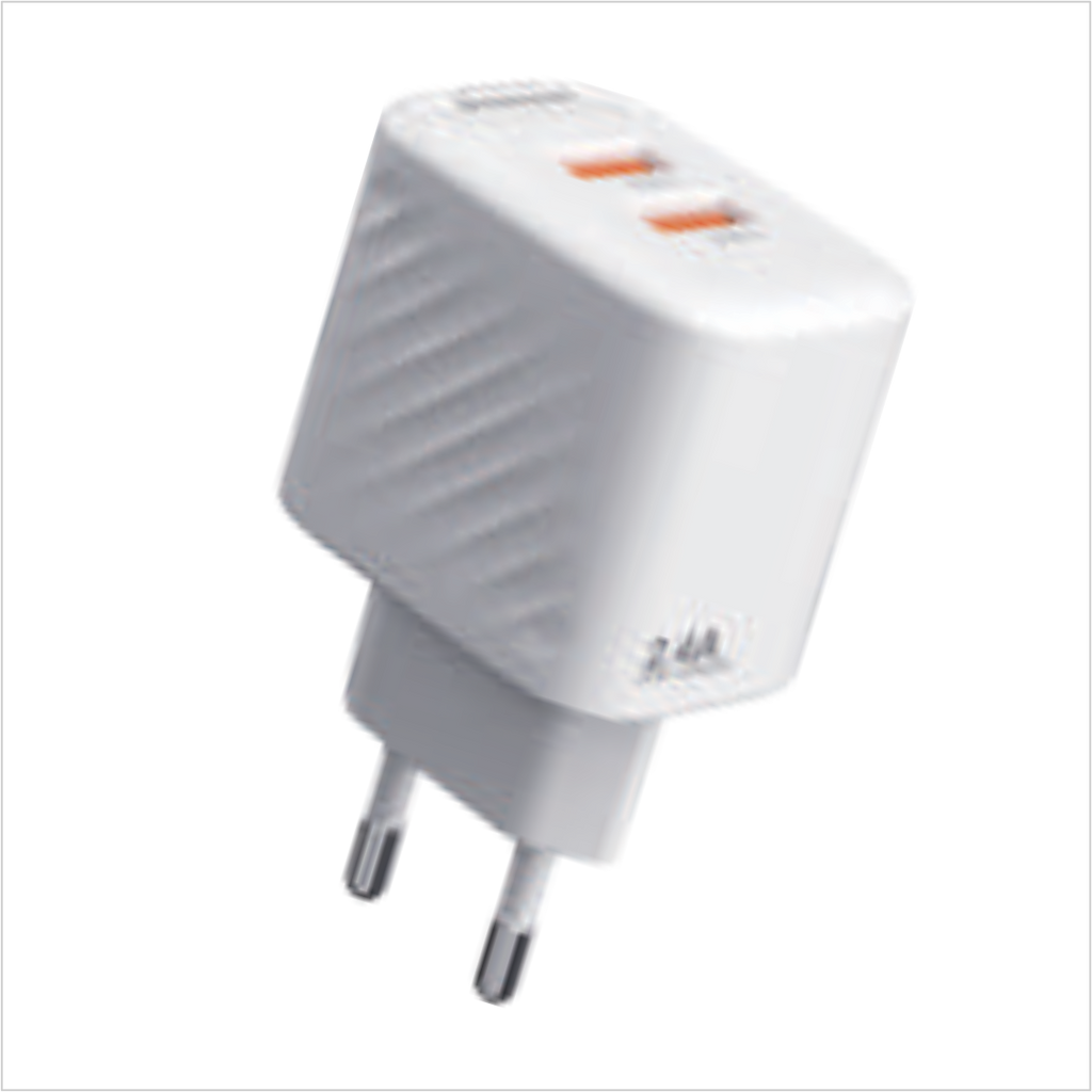 WESTPOINT WALL CHARGER WP-11